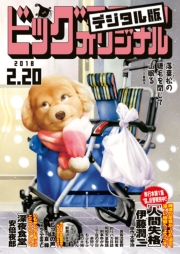 ビッグコミックオリジナル　2024年12号（2024年6月5日発売)