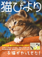 猫びより2017年9月号　Vol.95