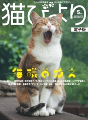 猫びより2018年1月号　Vol.97