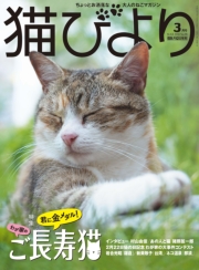 猫びより2022年5月号　Vol.123