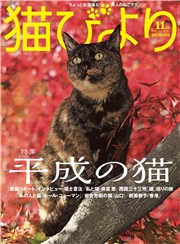猫びより2018年5月号　Vol.99