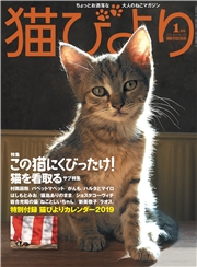 猫びより2017年7月号　Vol.94