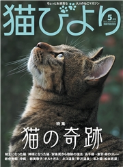猫びより2019年3月号　Vol.104