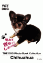THE DOG Photo Book Collection Chihuahua