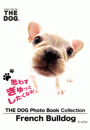 THE DOG Photo Book Collection French Bulldog