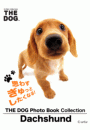 THE DOG Photo Book Collection Dachshund